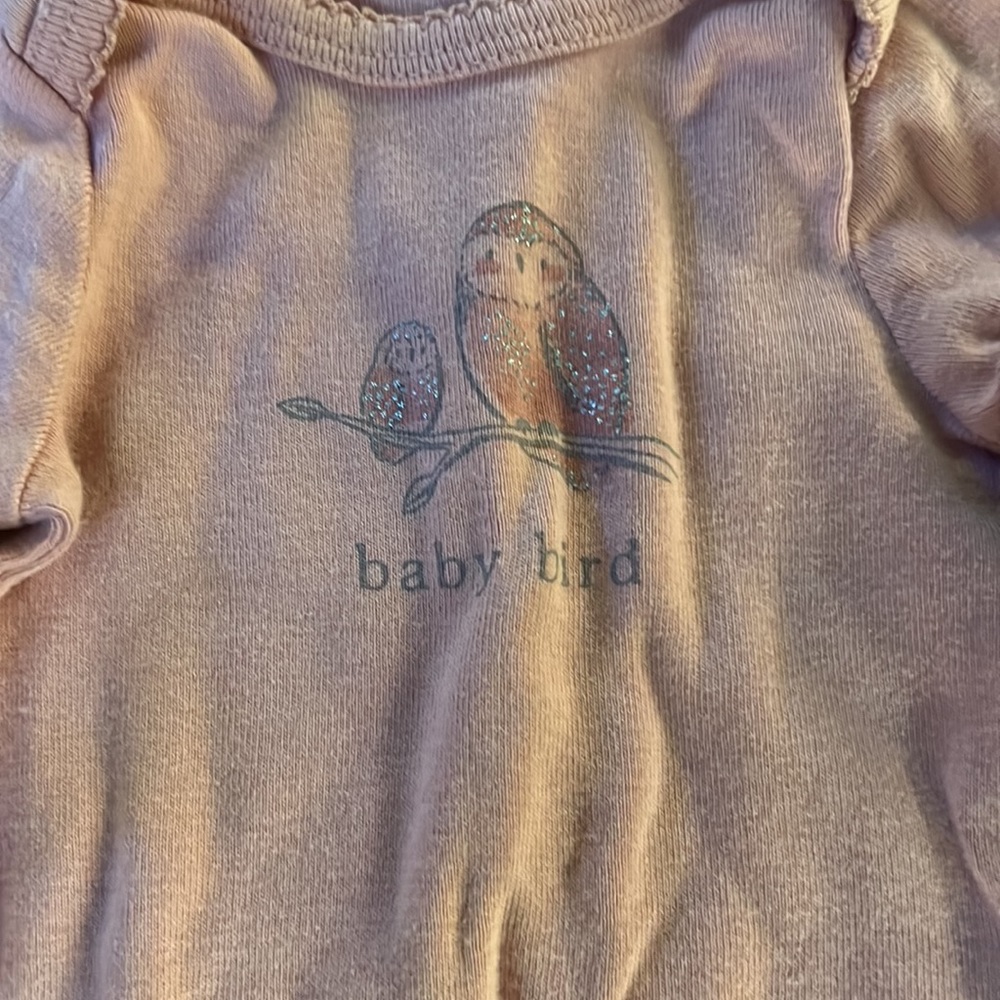 Owl set - Picture 3 of 5